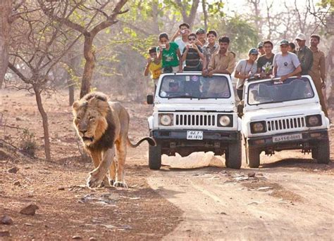 Ahmedabad Dwarka Somnath Sasan Gir Diu