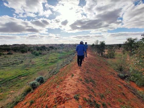 Transforming arid landscapes into thriving ecosystems