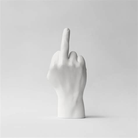 Bookshelf Decor Middle Finger Hand Fuck All Politicians Etsy
