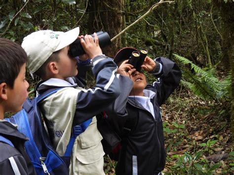 Más de 700 menores participarán en avistamientos de aves con la