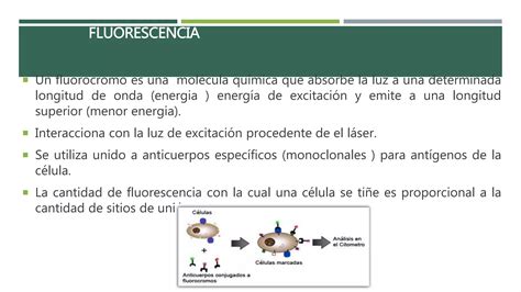 Citometria De Flujo Ppt