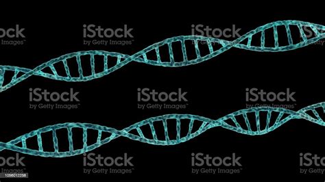 Dna Spiralen Closeup Geïsoleerd Op Zwart Stockfoto En Meer Beelden Van