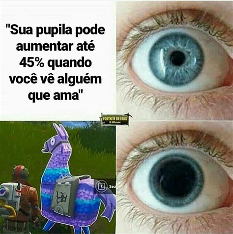 Verdade Fortnite Brasil Amino