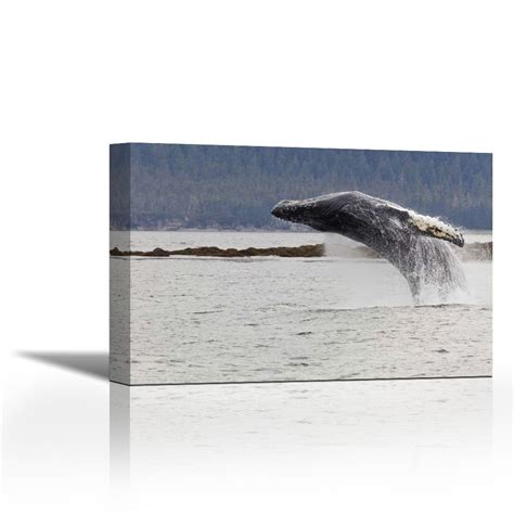 Karmakara Ak Frederick Sound Humpback Whale Lunging Fine Art Print