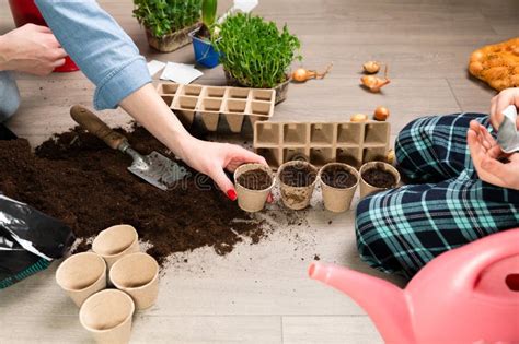 Madre E Hijo Plantando Semillas En Casa En Tierra Negra F Rtil En