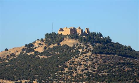 Depuis Amman Jerash Château d Ajloun ou Umm Qais Visite privée