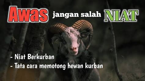 Bacaan Niat Berkurban Idul Adha Doa Dan Tata Cara Menyembeli Hewan