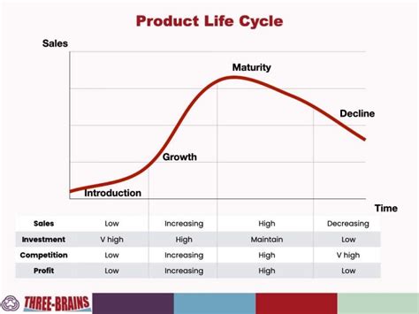 The Life Cycle Of Marketing Career Development Three Brains