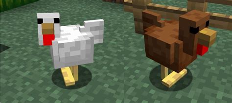 Playing Around With The Chicken Model And Jappas New Textures Rminecraft