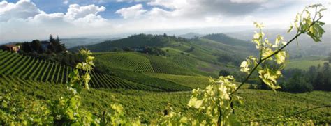 Vigneti Monferrato br Le Strade Italiane più belleLe Strade Italiane