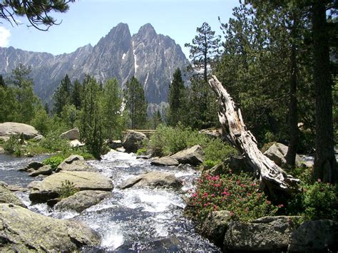 Lo De La Monta A Y Naturaleza De Suiza Es Acojonante Maravilla Natural