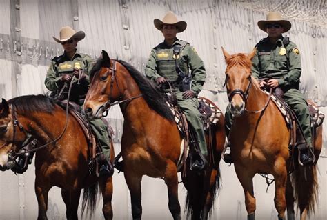 Tbt Mustangs On The Job Us Border Patrol Horse Nation