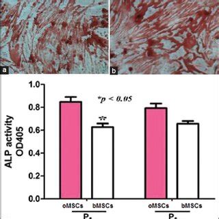 Markers For Induced Osteogenesis Of Osteophyte Derived Mesenchymal