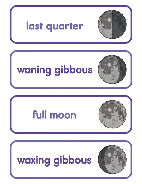 Moon Phases Word Cards Us S Ver Pdf