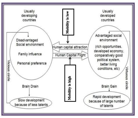 Proposed Conceptual Model On The Causes Costs And Impacts Of Brain