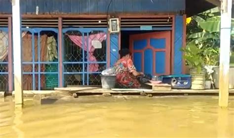 Banjir Di Katingan Meluas Rumah Terendam Dengan Ketinggian Meter