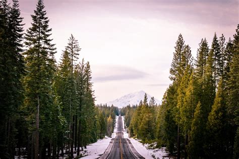 Fotos gratis árbol naturaleza bosque desierto montaña nieve