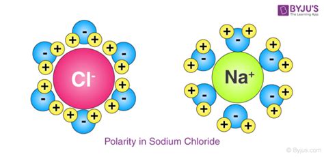 What is Polar and Nonpolar?