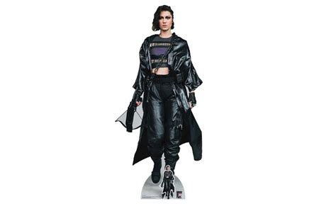 Huntress (Helena Bertinelli) from Birds of Prey Costume Guide for ...