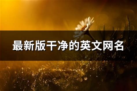 最新版干净的英文网名 精选225个 淘名吧网