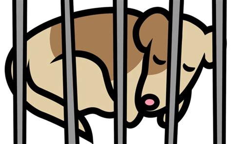 Dog Behind Bars Royalty-Free Images, Stock Photos & Pictures | Shutterstock