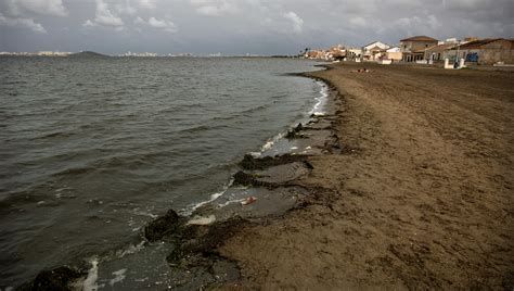 Derechos Propios Para Sacar Al Mar Menor De La UCI Medio Ambiente