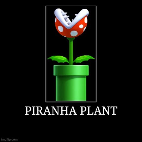 Piranha Plant Imgflip