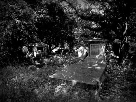 Frames In West Norwood Cemetery With A Minolta Srt B And Rokkor