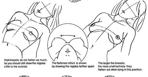 How To Draw The Breasts The Shape Of The Breasts When Lying Face Up Imgur