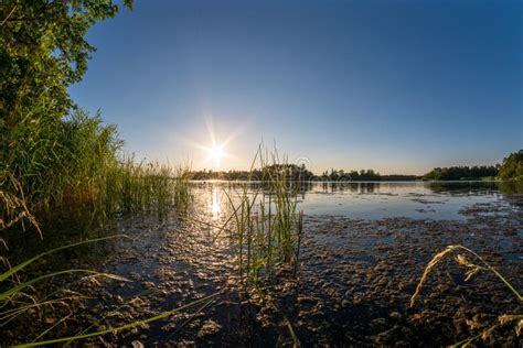 Beautiful Sunset at a Green Ocean Coast Stock Image - Image of kalmar, landscape: 123845807