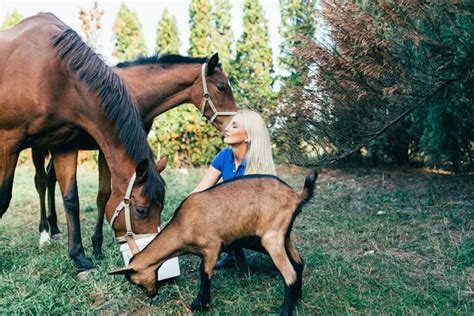 Farm Animals Basics Can A Goat Live With A Horse Horsemans News