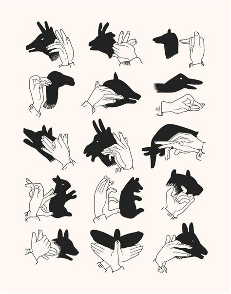 Shadow Puppets Print | Hand shadows, Shadow puppets, Shadow puppets ...