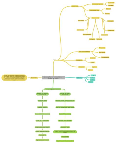 Enzim,replikasi DNA,siklus sel,dan sel prokariot dan eukariot - Coggle…