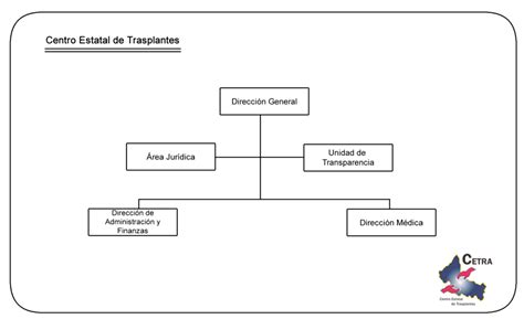 Estructura orgánica Centro Estatal de Trasplantes