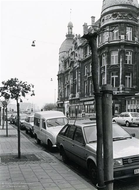 Boompje Op De Suikerrui Antwerpen Oude Foto S Stad