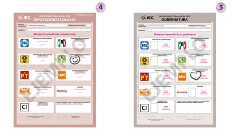 ¿cómo Son Y Cómo Marcar Las Boletas Electorales Para Las Elecciones En