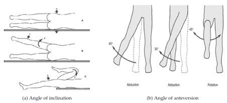 Movements in hip joint | Download Scientific Diagram