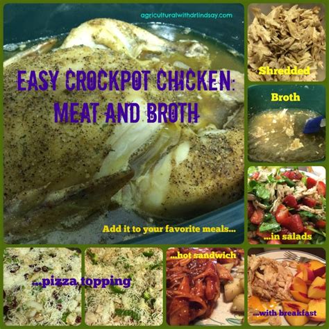 Crock Pot Chicken Meat Broth Money Savings Agricultural With Dr