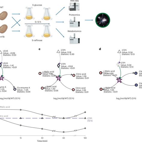 Metaboverse Identified Signatures Suggest Compensatory Mechanisms To