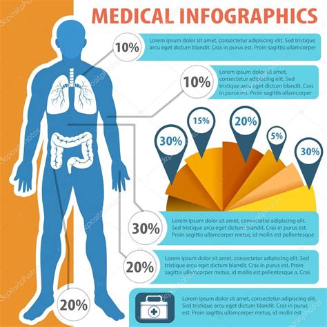 Medical infographic with human anatomy Stock Vector by ©blueringmedia ...