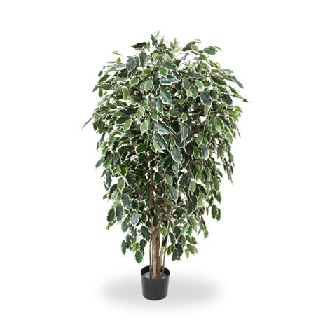 Ficus Artificiel Exotica Deluxe Cm Panach Tr S R Aliste Maxifleur