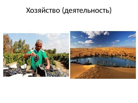 Географическое положение алжира. . Население Алжира…