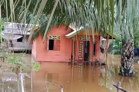 Delapan Kecamatan Di Aceh Timur Masih Dikepung Banjir ANTARA News Aceh