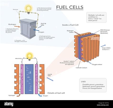 Illustration Depicting How A Fuel Cell Converts The Chemical Energy