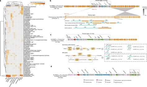 Characterization Of Auxiliary Metabolic Genes Amgs In The Built