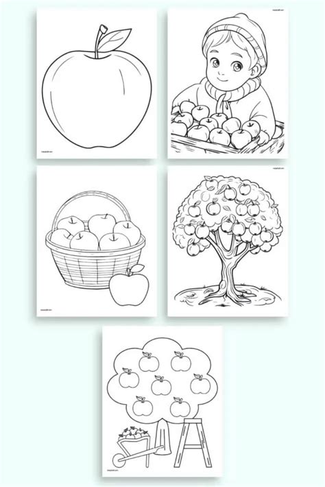 Free Printable Fall Apple Coloring Pages - The Artisan Life