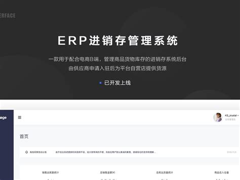 公司项目电商后台 Erp进销存系统zrystal 站酷zcool