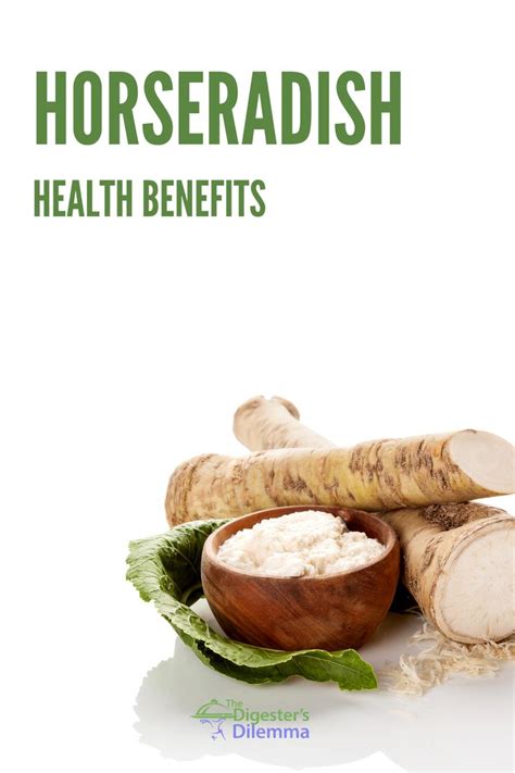 Health Benefits Of Horseradish Horseradish Benefits Gut Health