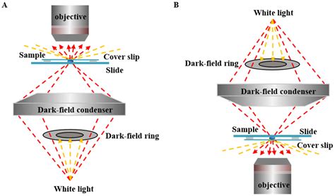 Single Particle Measurements Of Nanocatalysis With Dark Field Microscopy