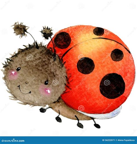 Ladybug Watercolor Stock Illustrations Ladybug Watercolor Stock